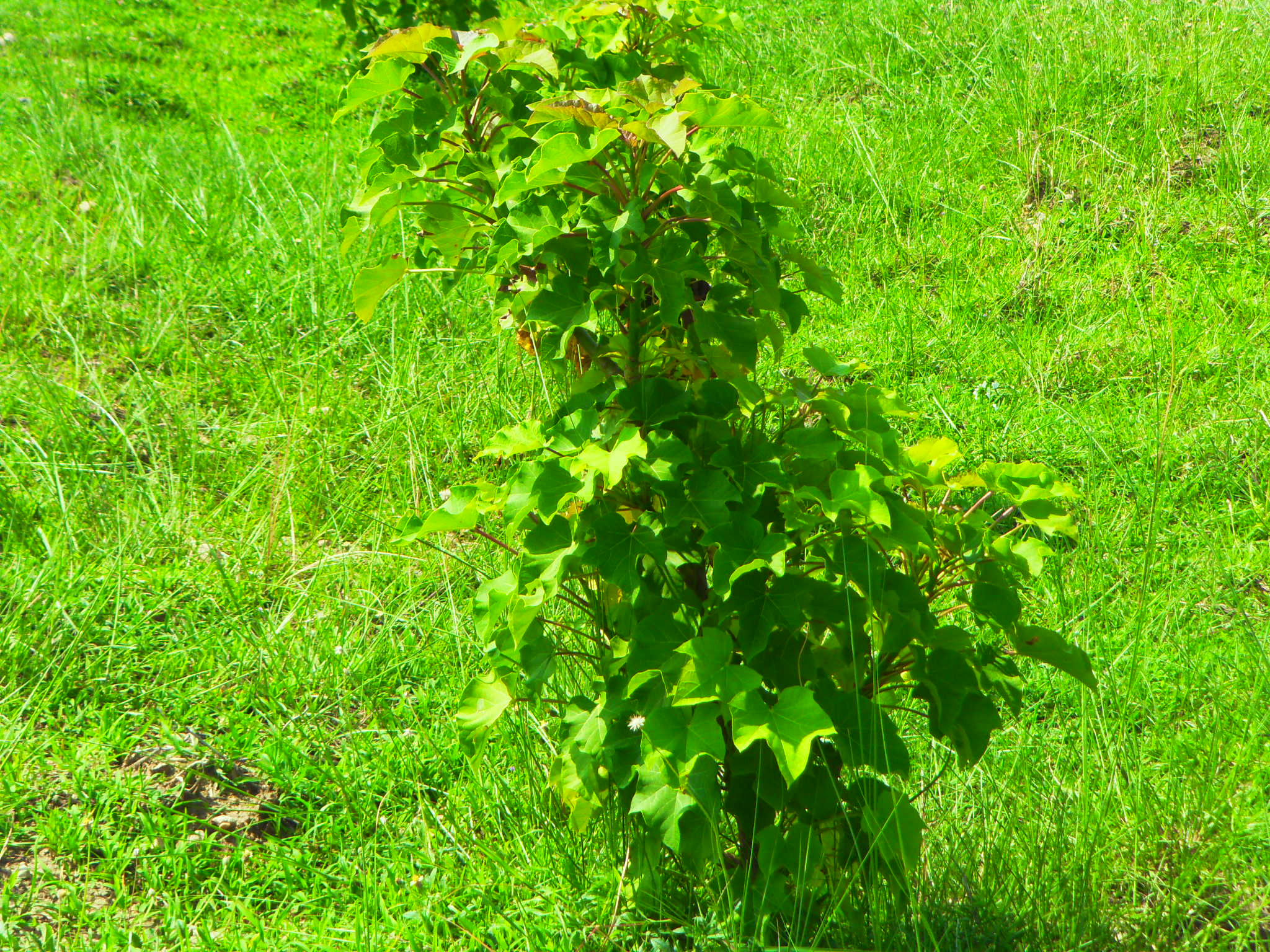 Women's Leadership in Climate Change Adaptation